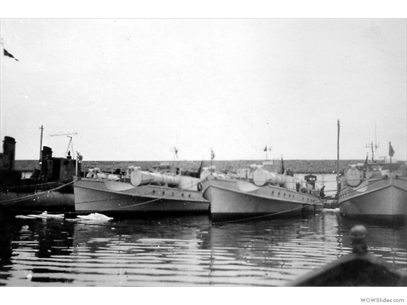 T-kateri